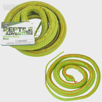 Rubber Snake: Rosy Boa