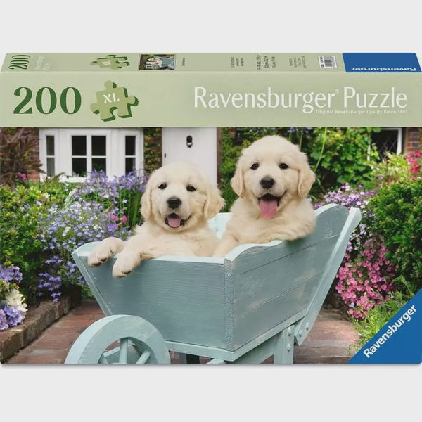 200 Golden Retriever