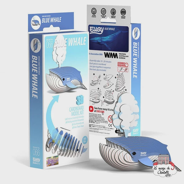 EUGY 3D Cardboard Model: Blue Whale