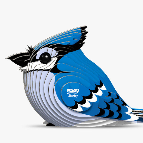 EUGY 3D Cardboard Model: Blue Jay