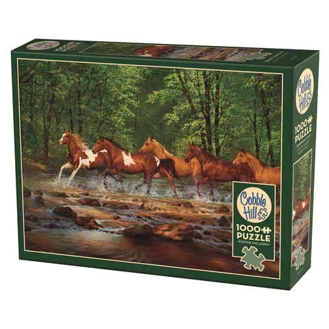 1000 Spring Creek Run