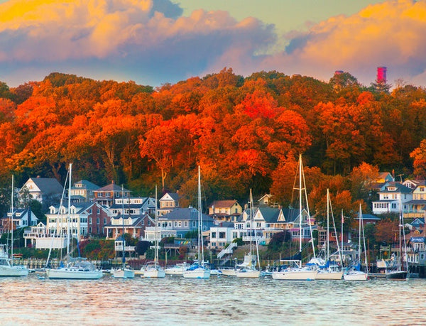 500 Harbor in the Fall