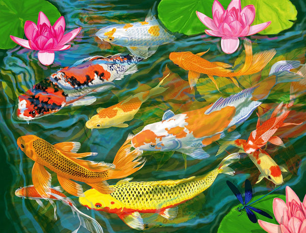 1000 Koi Pond