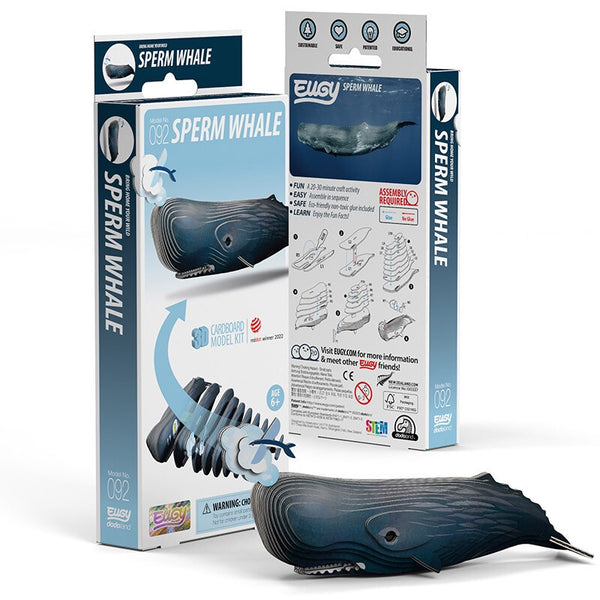 EUGY 3D Cardboard Model: Sperm Whale