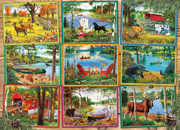 1000 Postcards from Lake Country