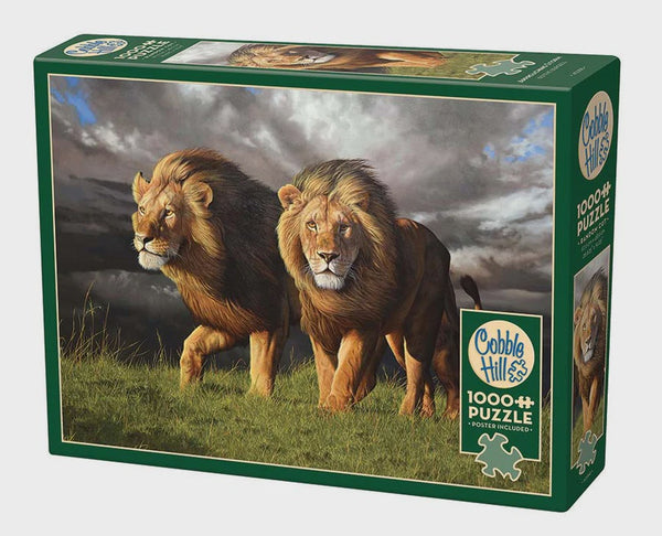 1000 Approaching Storm