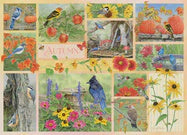 500 Garden Birds in Autumn