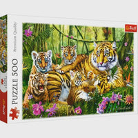 500 Family of Tigers