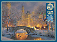 500 Winter in the Park