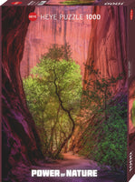 1000 Singing Canyon