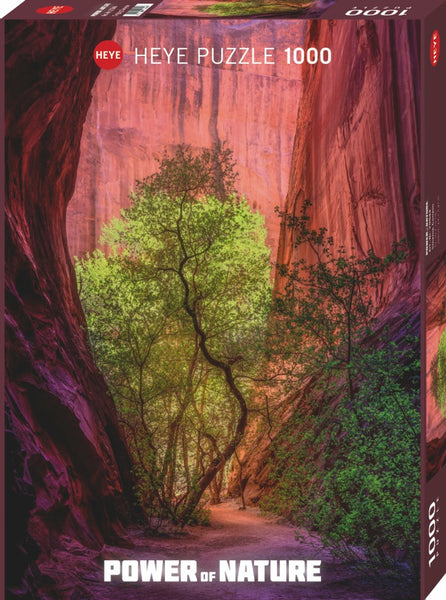 1000 Singing Canyon