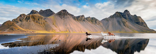 1000  Island Horses Panorama