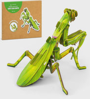 3D Kraft Paper Puzzle: Giant Asian Mantis
