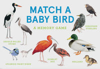 Match A Baby Bird: A Memory Game