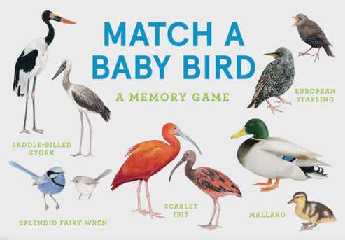 Match A Baby Bird: A Memory Game