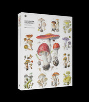 1000 Alexander Viazmensky Mushrooms