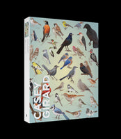 1000 Casey Girard Backyard Birds