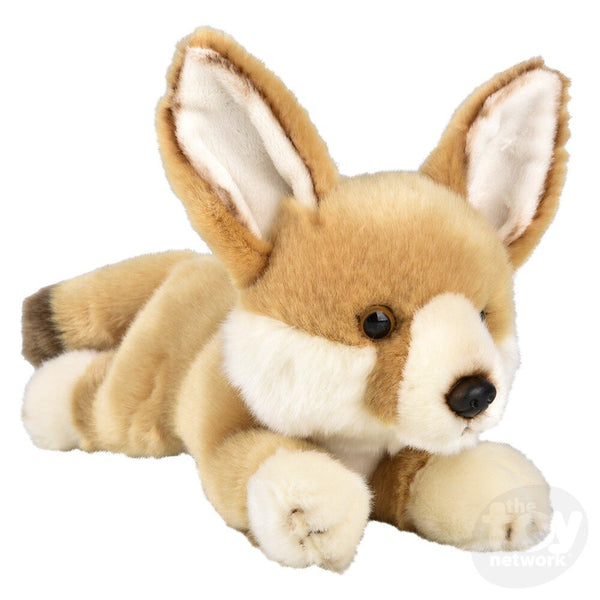 Laying Fennec Fox