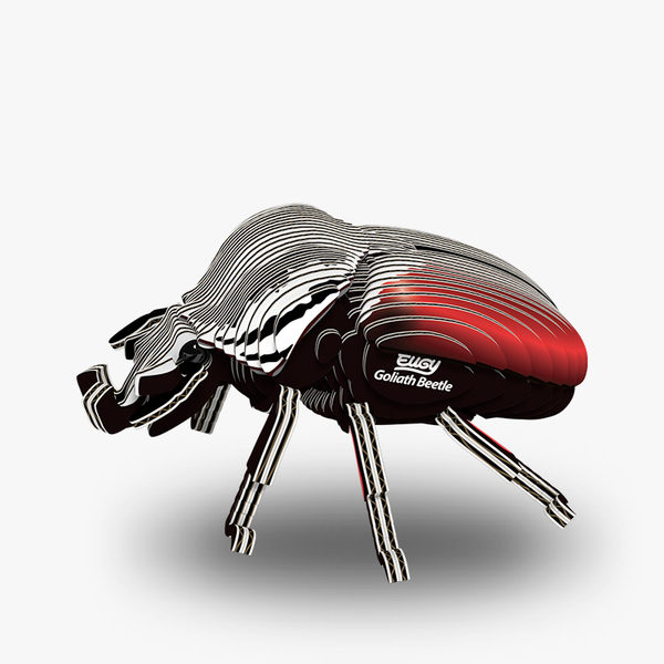 EUGY 3D Cardboard Model: Goliath Beetle