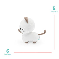 Mini Sami the Siamese Cat