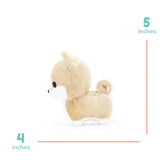 Mini Shibi the Shiba Inu