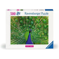 500 Peacock