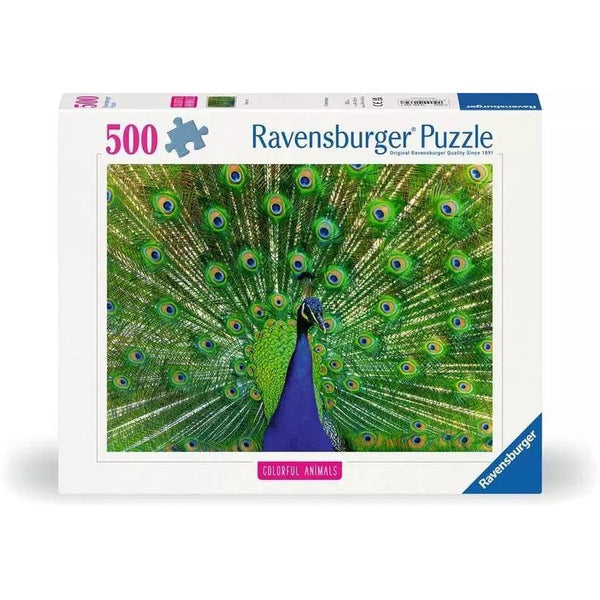 500 Peacock