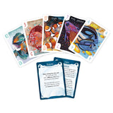 Sea Scroll (PREORDER)