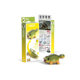 EUGY 3D Cardboard Model: Ankylo