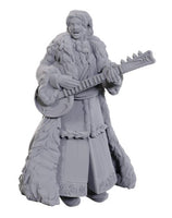 Ansalon Human Bard (W23)