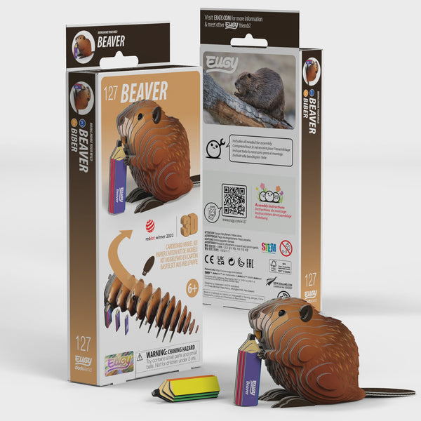 EUGY 3D Cardboard Model: Beaver