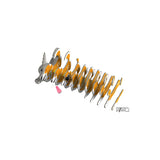 EUGY 3D Cardboard Model: Welsh Corgi