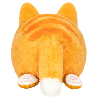 Squishable: Mini Kitty