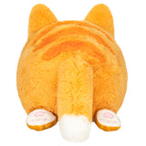 Squishable: Mini Kitty