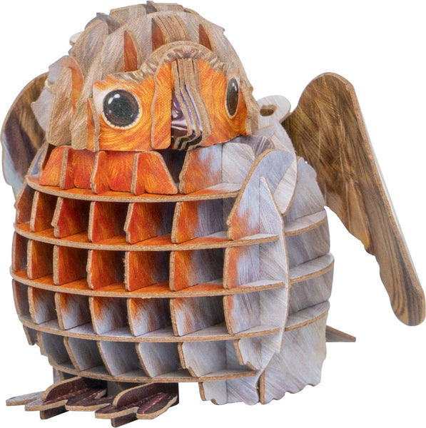 Voices of Nature: Robin