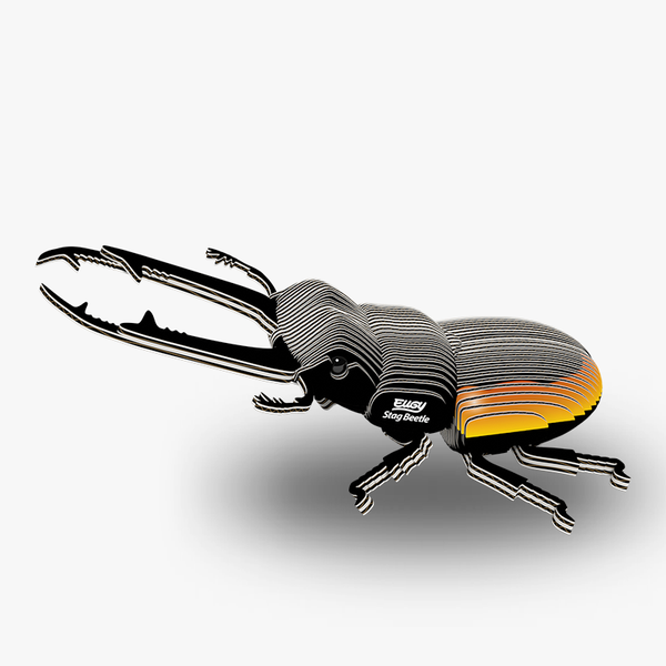 EUGY 3D Cardboard Model: Stag Beetle