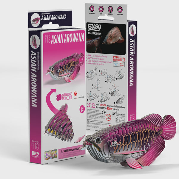EUGY 3D Cardboard Model: Asian Arowana