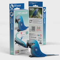 EUGY 3D Cardboard Model: Spix's Macaw