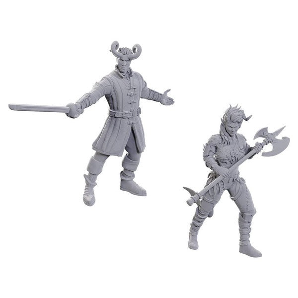 Dungeons & Dragons: Nolzur's Marvelous Unpainted Miniatures - Special Edition Baldur's Gate 3, Wyll & Karlach