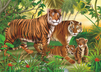 240 Tigers