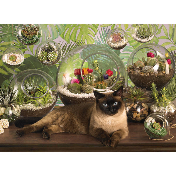 1000 Terrarium Cat