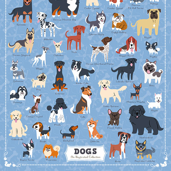 500 Illustrated Dogs