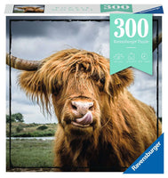 300 Puzzle Moment: Highland Cattle