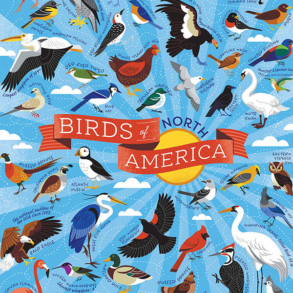 500 Birds of North America