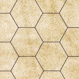Reversible Battlemat 1" Squares & 1" Hexes.