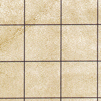 Reversible Battlemat 1" Squares & 1" Hexes.