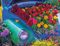 500 Garden Bug