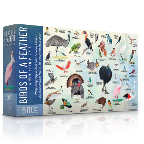 500 Wingspan: Bird of a Feather