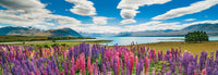 1000 Lake Tekapo Panorama
