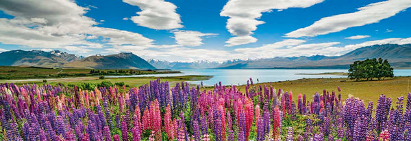 1000 Lake Tekapo Panorama